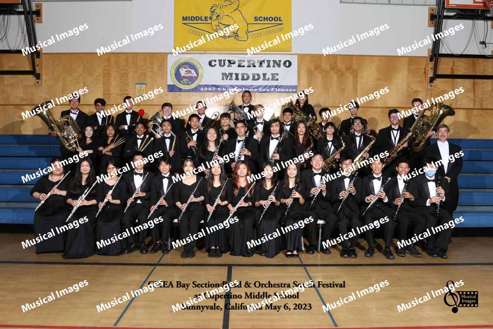 Musical Images